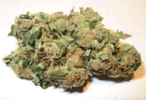 Buy Super Sour Diesel Marijuana