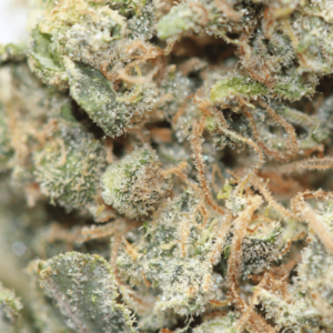 candyland macro