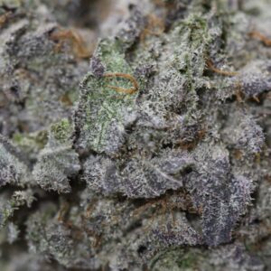 purpleurkle macro