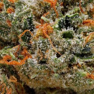 strawberry cough Macro grande