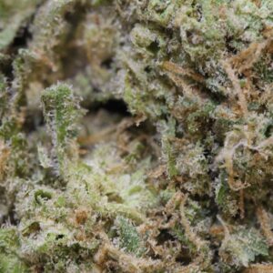 whitecheese macro